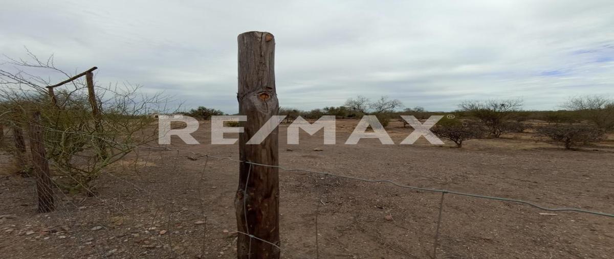 Foto de terreno habitacional en venta en calzada del alamito , real del alamito [fraccionamiento campestre], hermosillo, sonora, 0 No. 03